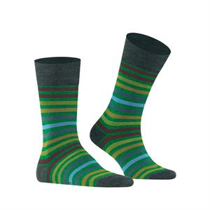 Falke Tinted Stripe Socks